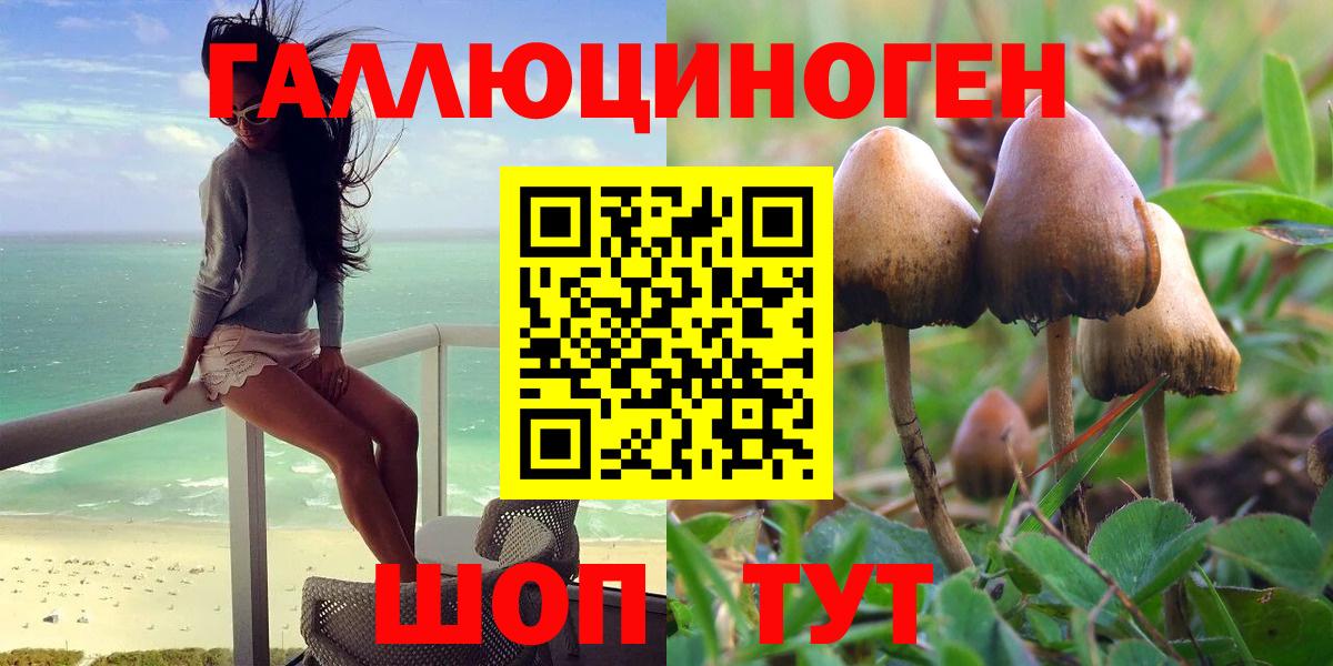 Касимов  Галлюциногенные грибы Psilocybine cubensis  Вход с VPN 